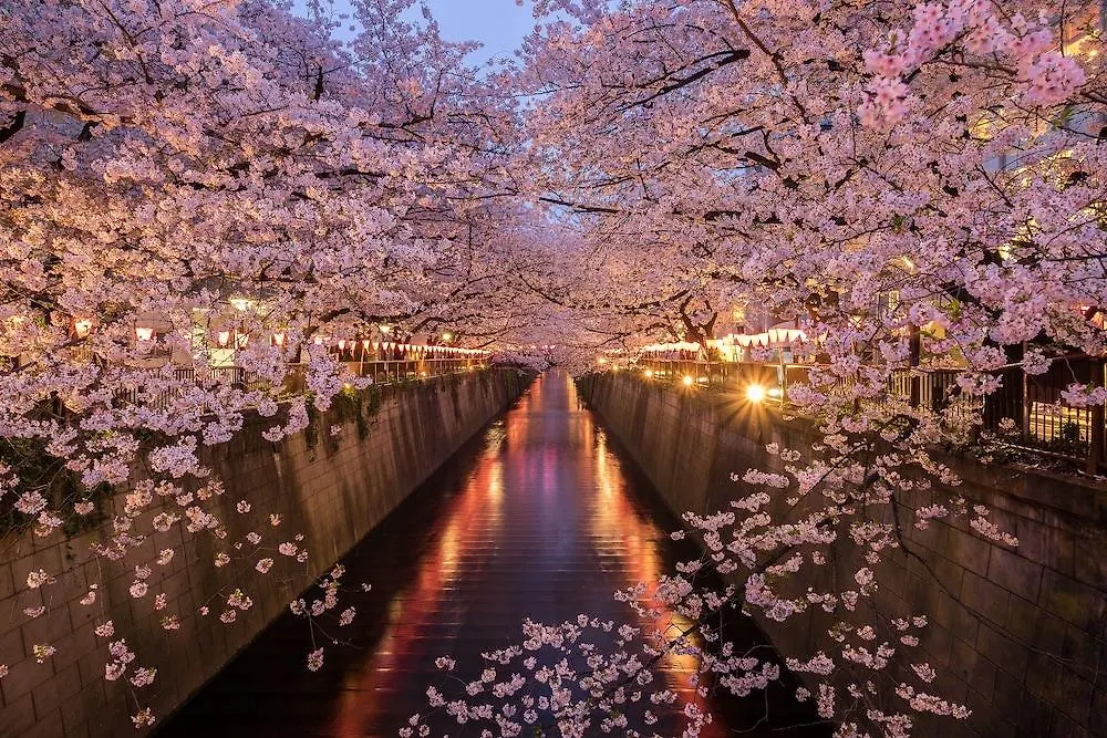 Hotel Mystays Gotanda Station Tokyo Japan